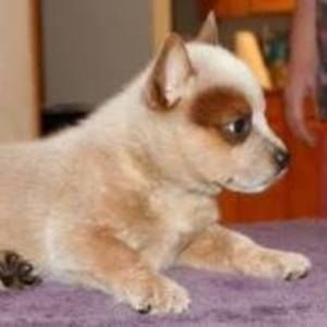 Meet your Posher, Lynda